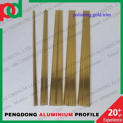 Les profils en aluminium polissant la tuile affilante décorative équilibrent la couleur populaire d'argent et d'or